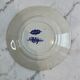 Lot of 6 flat plates, ironstone Sarreguemines Cluny.