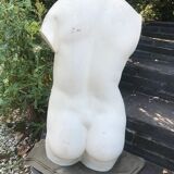 Plaster bust