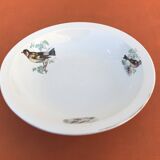 Old dish Decor Beaks and Feathers Pillivuyt France Deposited