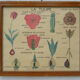 Set of 10 Rossignol posters on plants with frame
