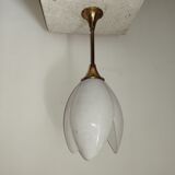 Rougier house chandelier 70s 80s