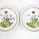 6 small white stoneware dessert plates - floral decoration - Country Charm Collection