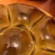 Set of 6 Gien oyster plates