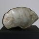 Fat Lava oyster bowl with 5th leg in red