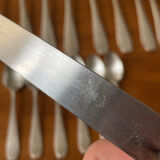 Apollo silver metal cutlery set
