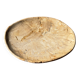 Small pocket tray or circular beige petrified wood dish D22.5-20 -3310