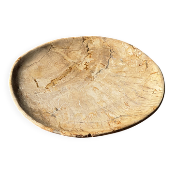 Small pocket tray or circular beige petrified wood dish D22.5-20 -3310