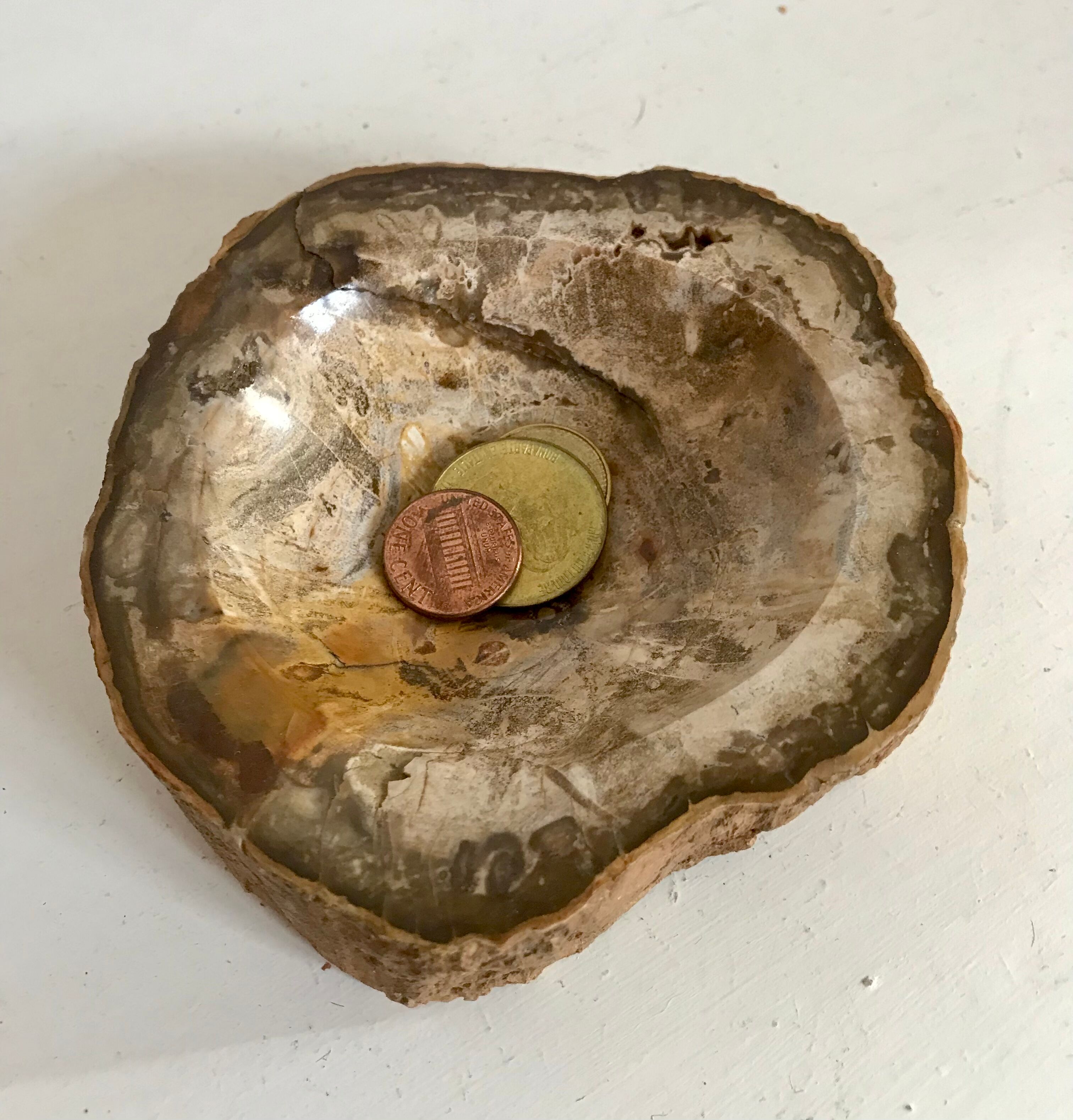 Petrified wooden ashtray