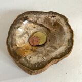 Petrified wooden ashtray