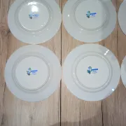 Lot 7 Large Flat Plates Porcelain ARA Pier Import