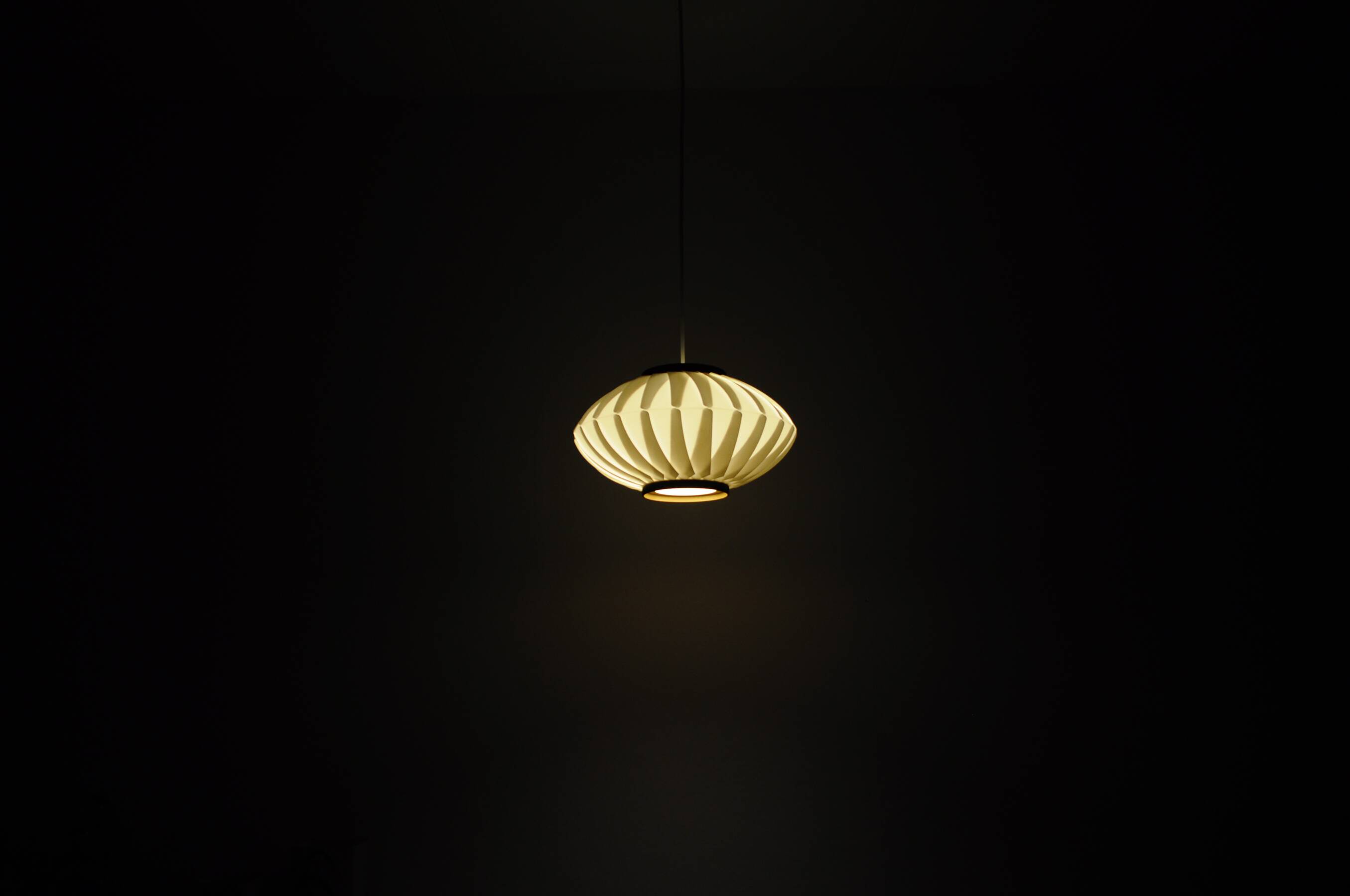 Anemone Pendant Lamp by Lars Eiler Schiøler for Hoyrup Light, 1970s