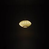 Anemone Pendant Lamp by Lars Eiler Schiøler for Hoyrup Light, 1970s