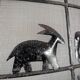 Atelier Marolles Wrought Iron Animal Fire Screen 1950s