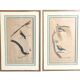 Pair of zoological engravings of birds by Fournier and Perrot, 19th century.