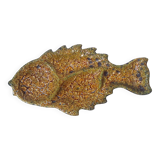 Fish Enamels of the Cyclops