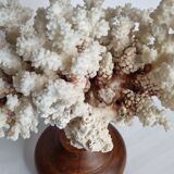 Old white coral in branches on base, 32 cm