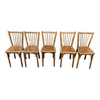 (Lot) 5 Baumann chairs model 83