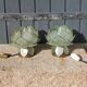 Pair of designer table lamps in turquoise blue green capiz mother-of-pearl from the 70s