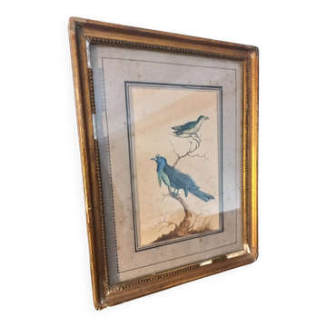 Tableau doré oiseaux bleus ancien encadré, galerie Paris