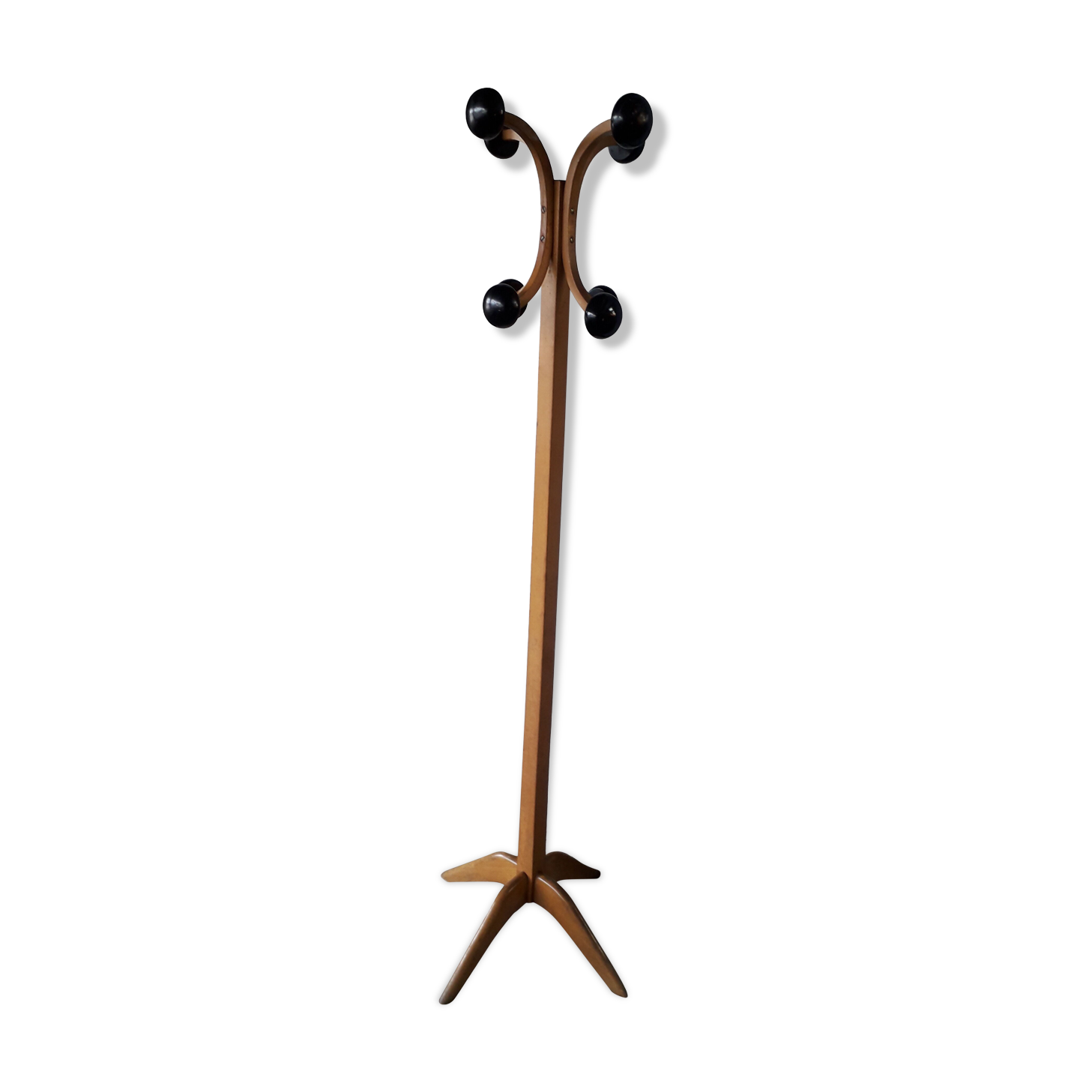 Parrot coat rack