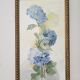 Tableau Aquarelle Fleurs Hortensia Signé J. Verne