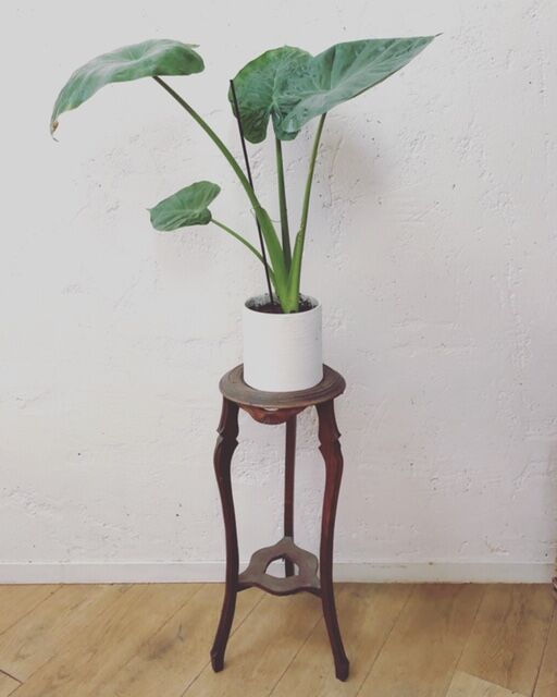 Plant door / harness