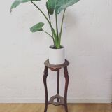 Plant door / harness