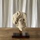 Ancient Greek head – Ephebe – Cast from the Louvre Museum
