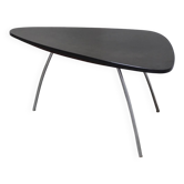 Rare freeform coffee table by Mauser Werke, 1950s
