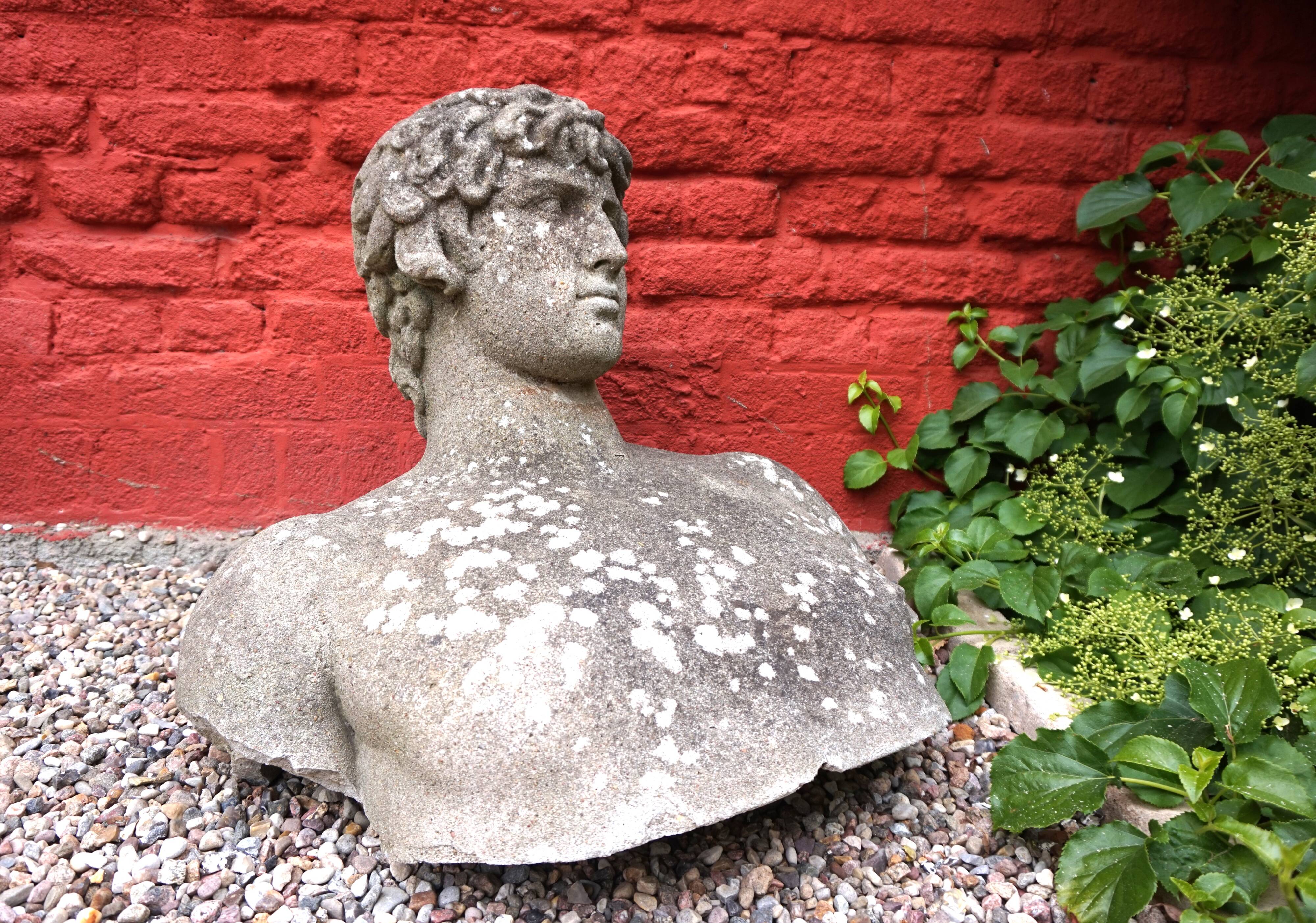 Weathered garden sculpture David concrete bust