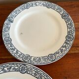 Plates Salins blue earth of iron