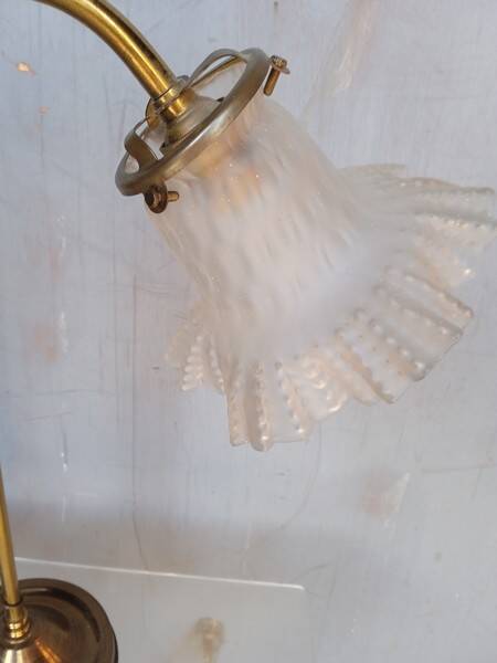 Tulip swan neck desk lamp in frosted glass