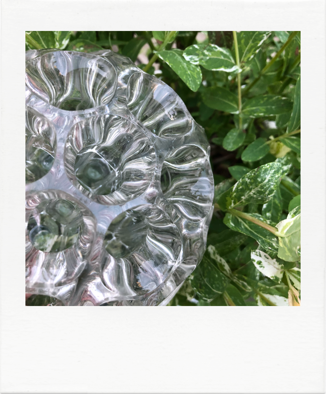 Mid 19-hole flower picks