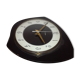 Formica pendulum