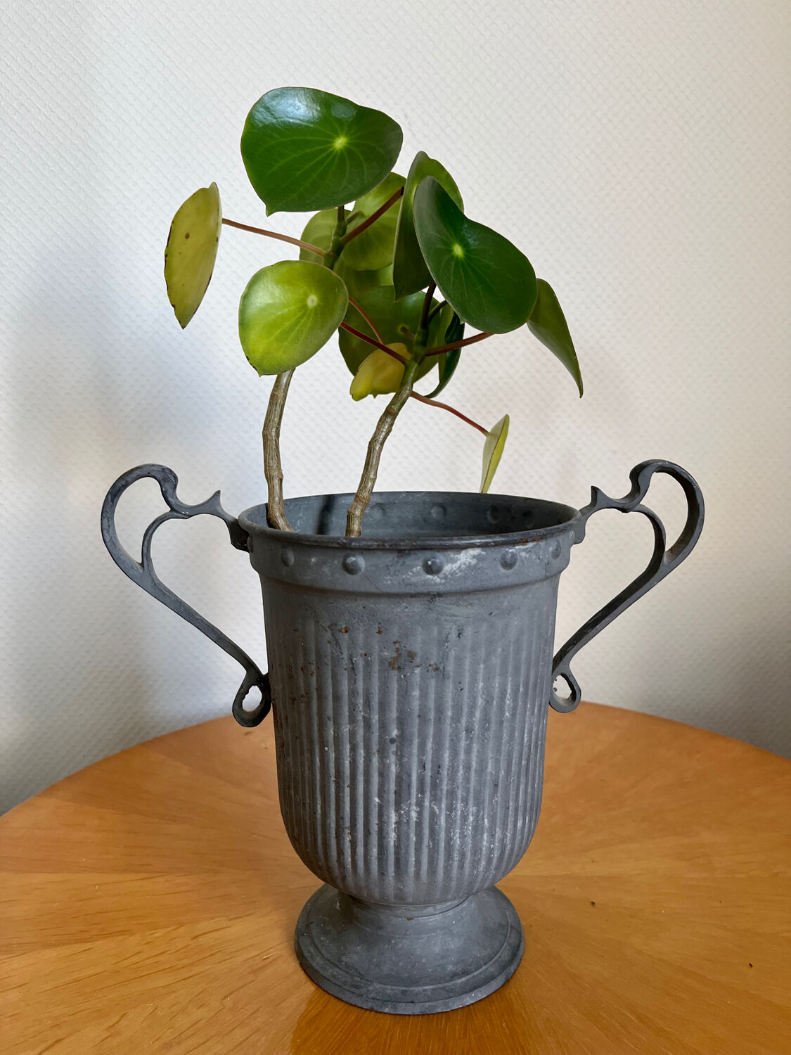 Medici vase in ancient patinated iron