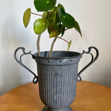 Medici vase in ancient patinated iron