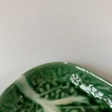 Cabbage Cup