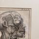 Old Print Engraving 19th Century Framed Anatomy Artery Face Bernard Dixerit