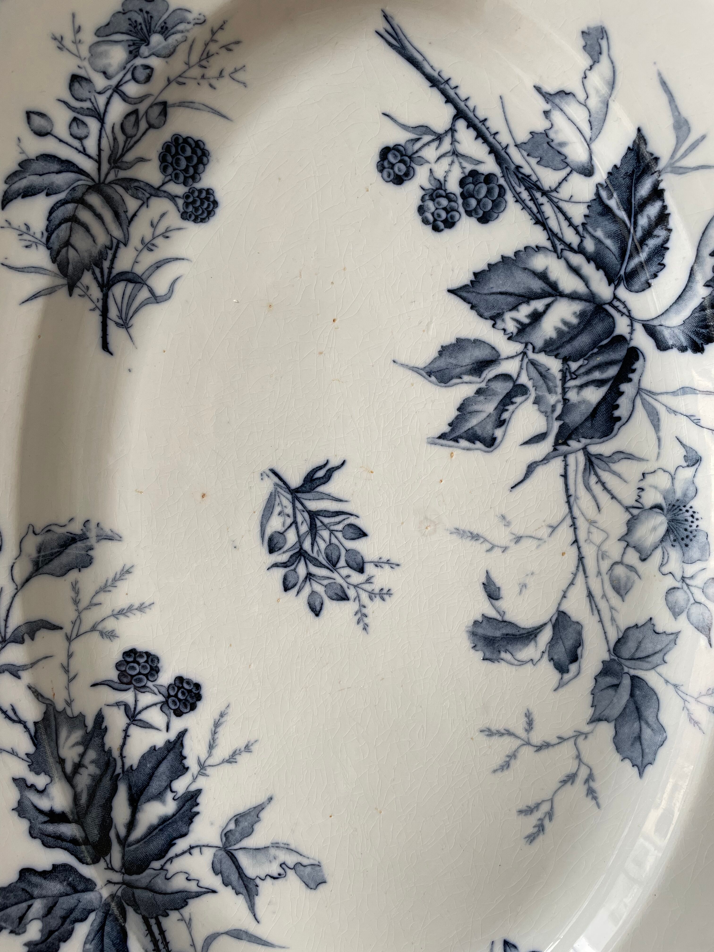 Set of two dishes "Blackberry" T.F Badonviller