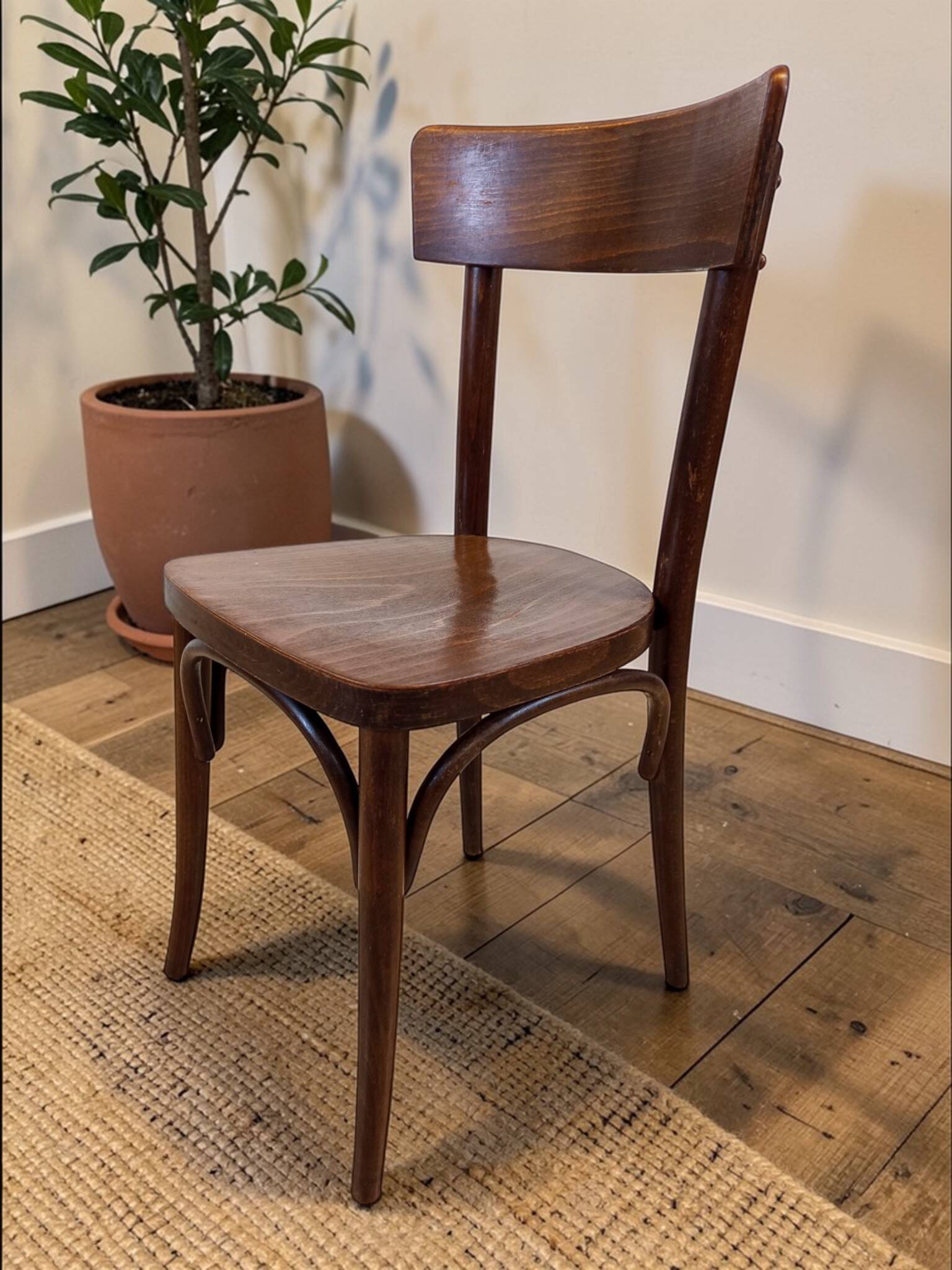 Set of 4 bistro chairs attributed to Thonet – Czechoslovakia
