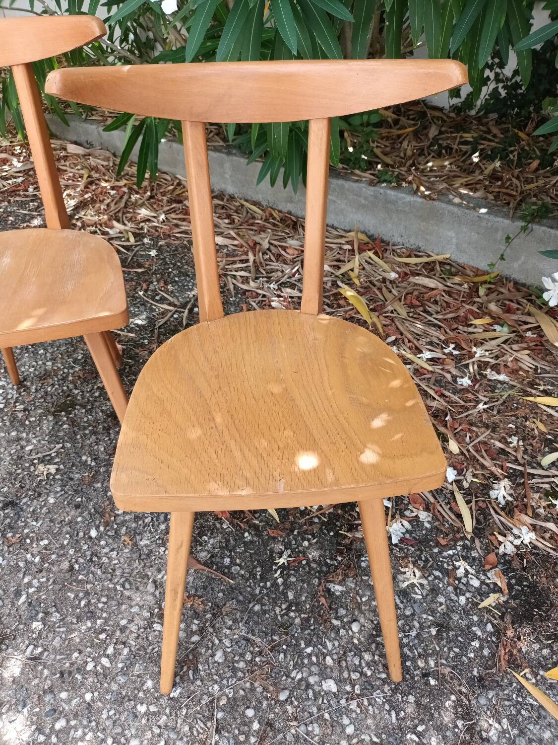 Antelope Chairs Stella Luterma