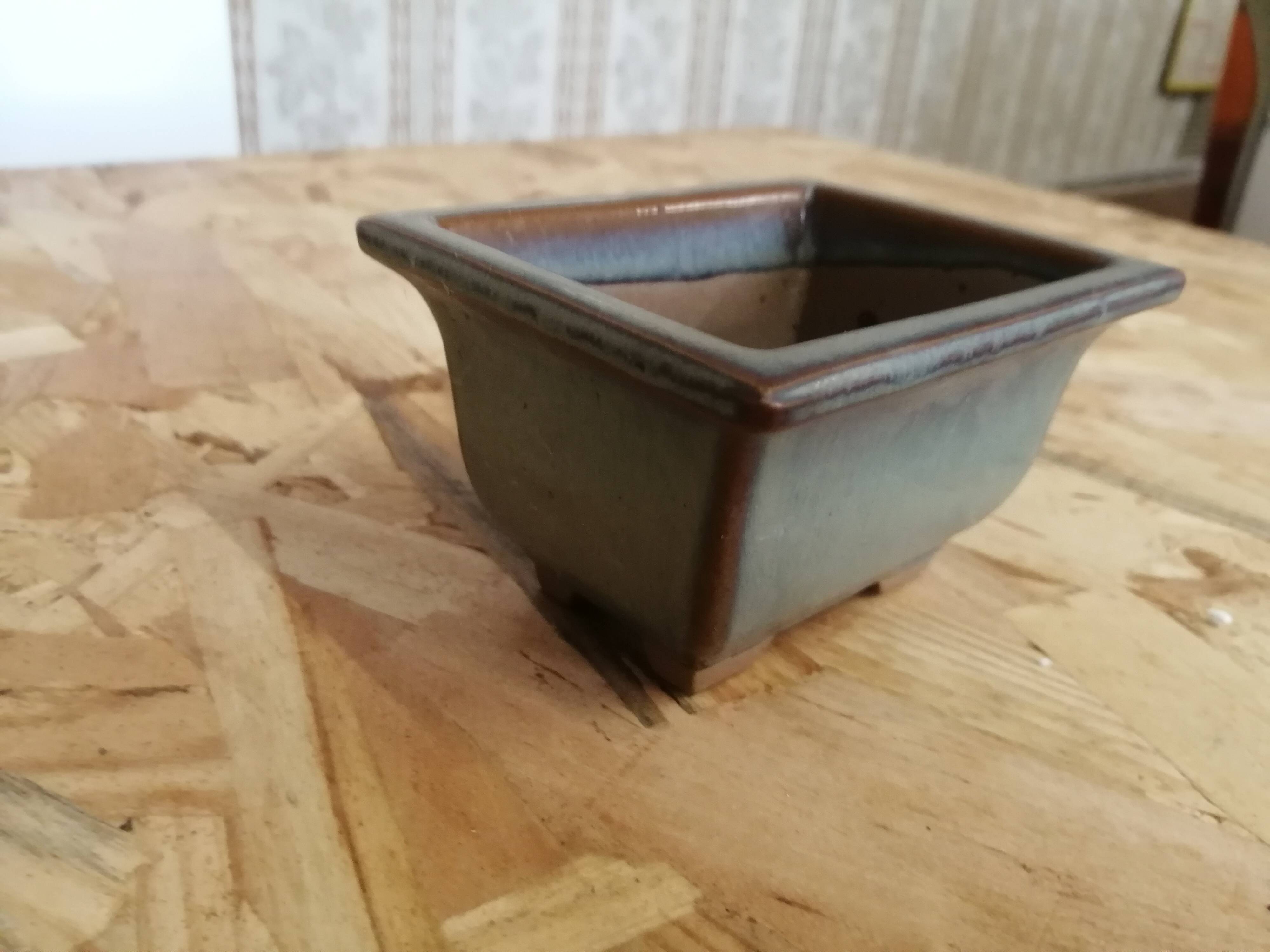 Bonsai pot
