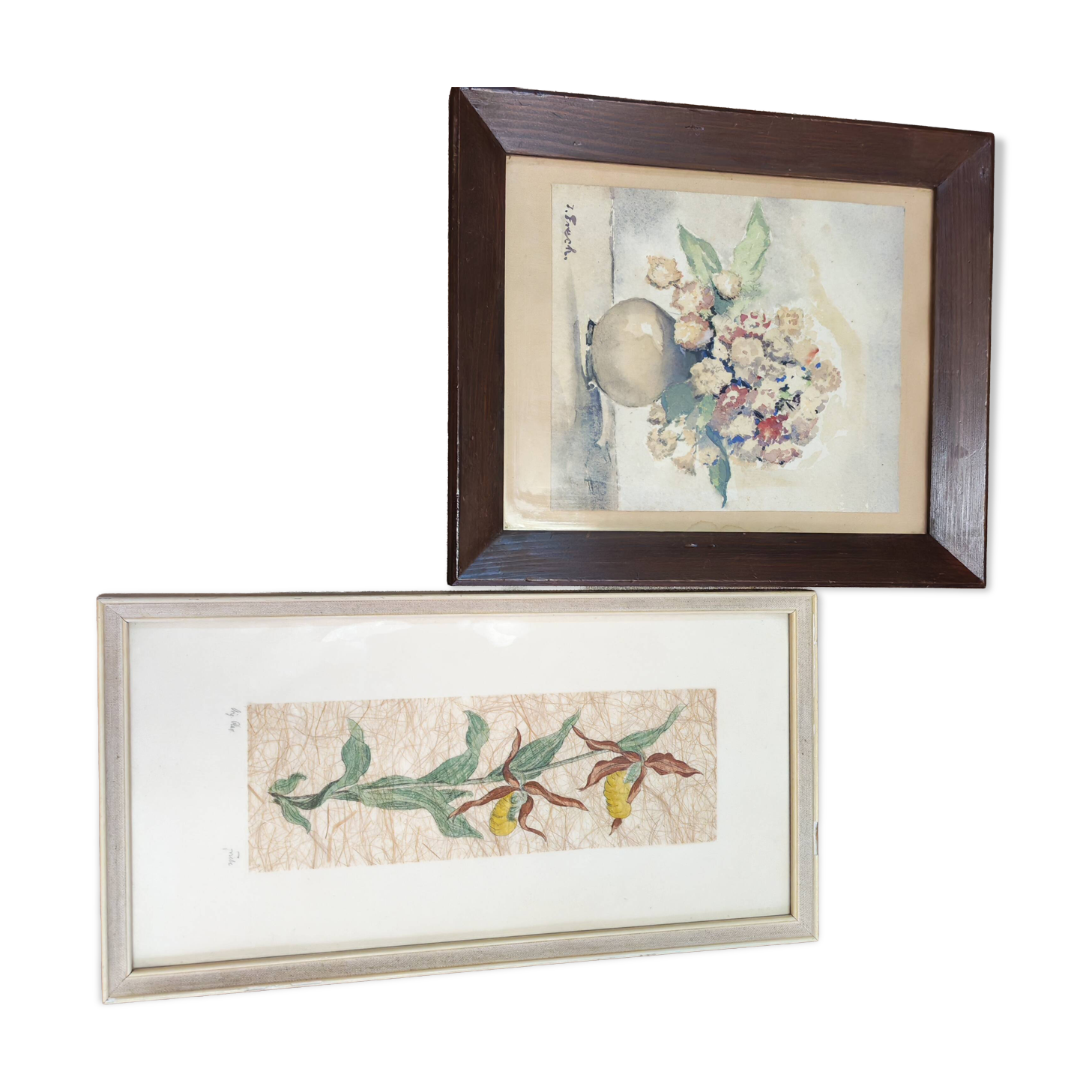 Set of two vintage flower illustrations