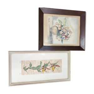 lot de deux illustrations - fleurs