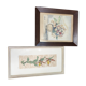 Set of two vintage flower illustrations
