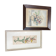 Set of two vintage flower illustrations