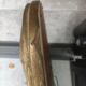Old large golden mirror