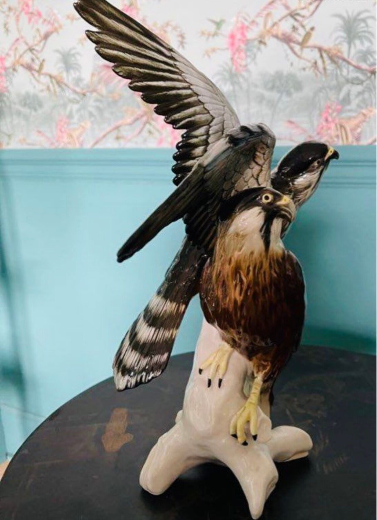 Birds couple of falcons Karl Ens