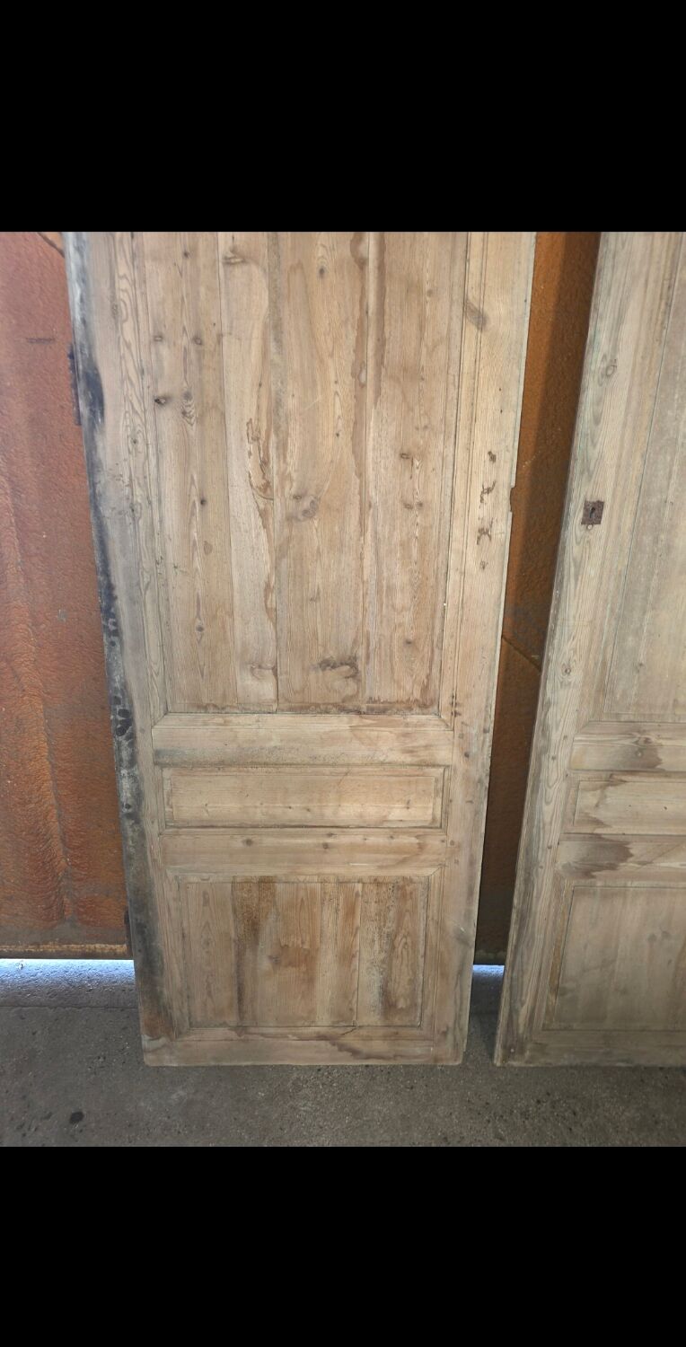 Pair of doors, 19th century