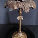 Cabinet of Curiosities globe with sea urchin paracentrotus lividus